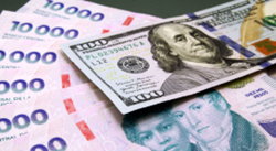 Financiamiento en moneda extranjera.